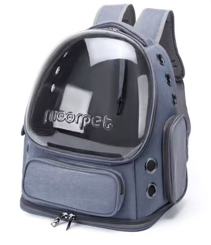 Transparent Pet Cat Carrier Cats & Small Dogs