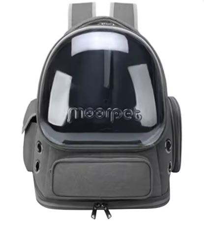 Transparent Pet Cat Carrier Cats & Small Dogs