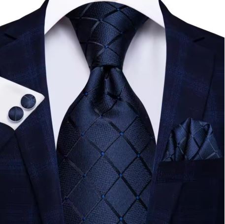 Navy Blue Checkered Silk Tie Style 656
