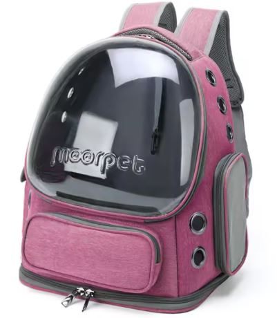 Transparent Pet Cat Carrier Cats & Small Dogs