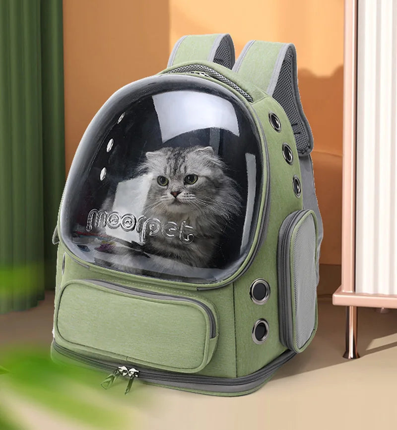 Transparent Pet Cat Carrier Cats & Small Dogs