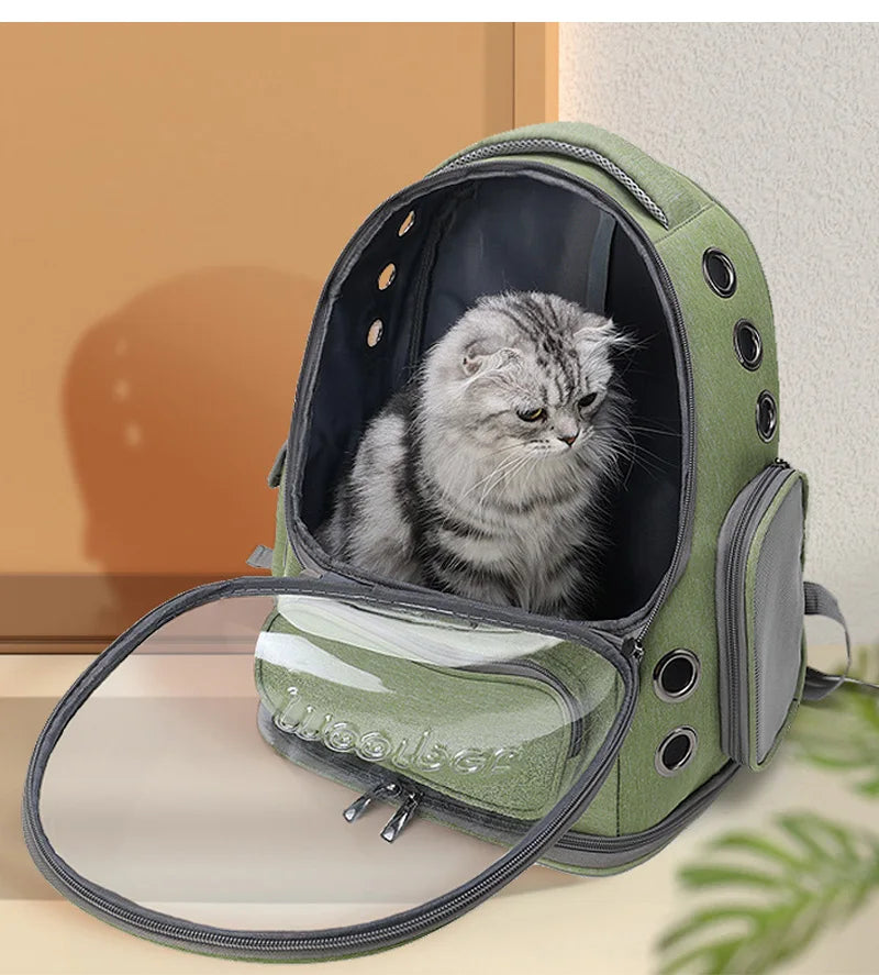 Transparent Pet Cat Carrier Cats & Small Dogs