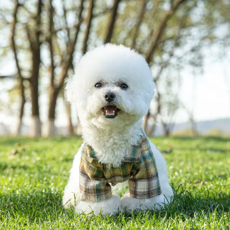 Plaid Dog Vest (Yellow)