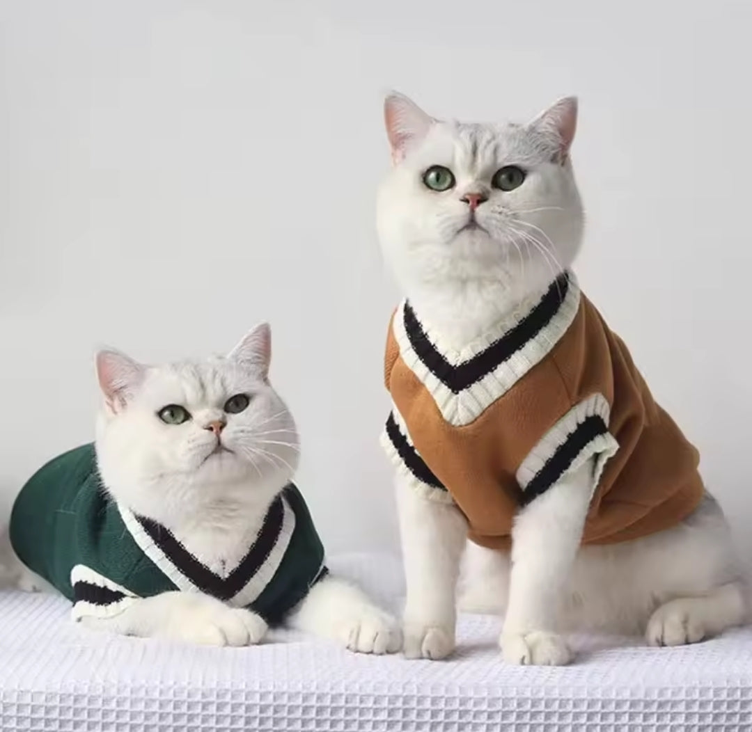 Sweater Weather Cat